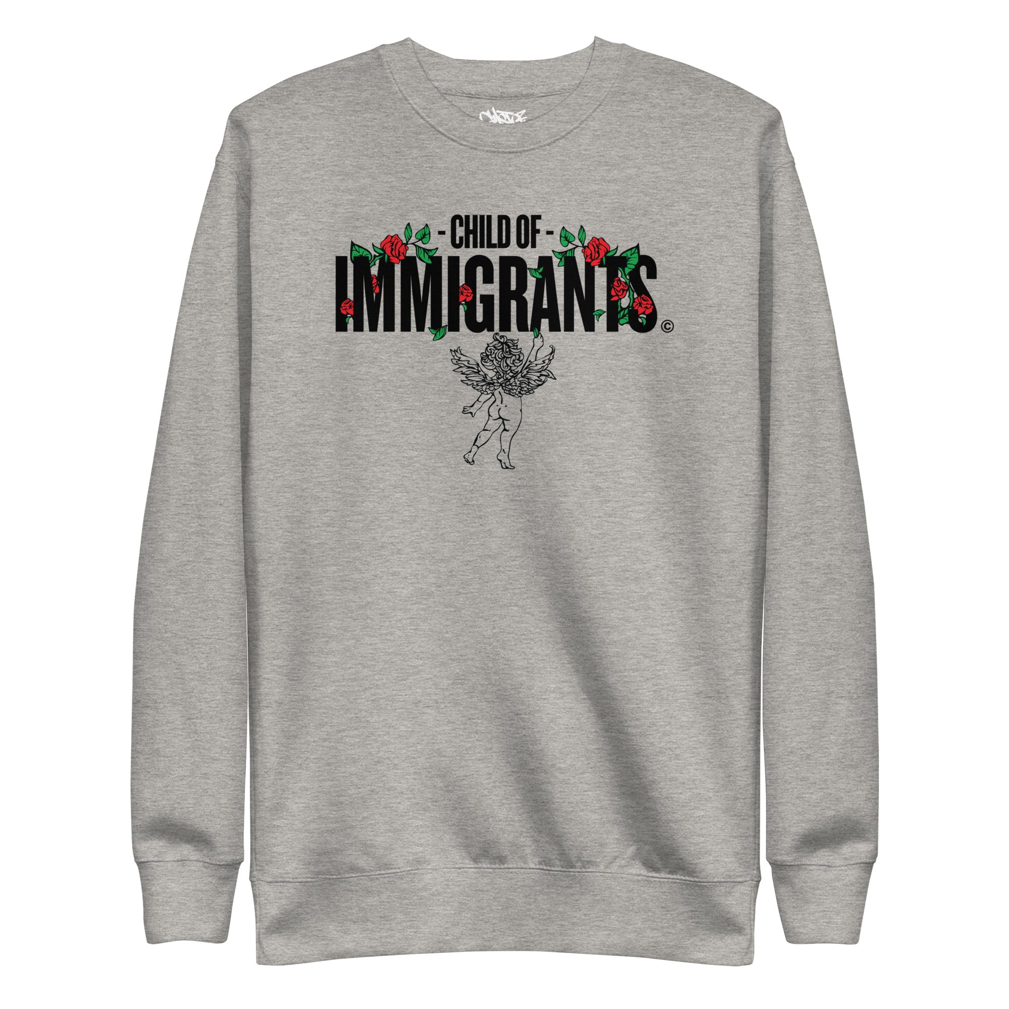 Child of Immigrants - Unisex Premium Sweatshirt
